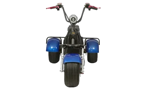 TRIKE PRO MAX